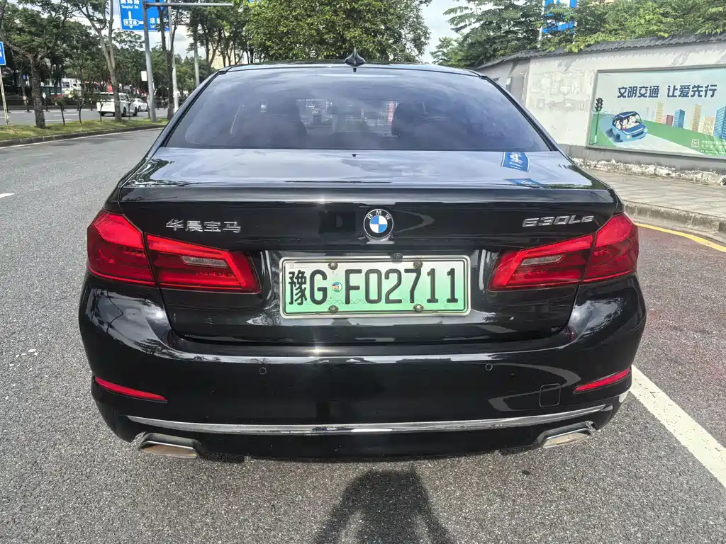 BMW 5 Series New Energy 2020