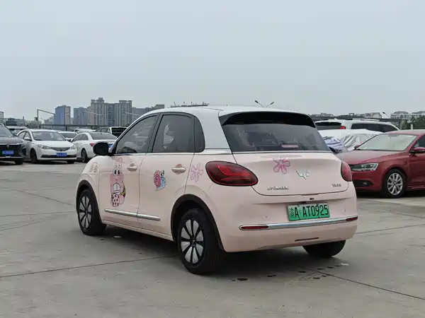 Wuling Bingo 2024