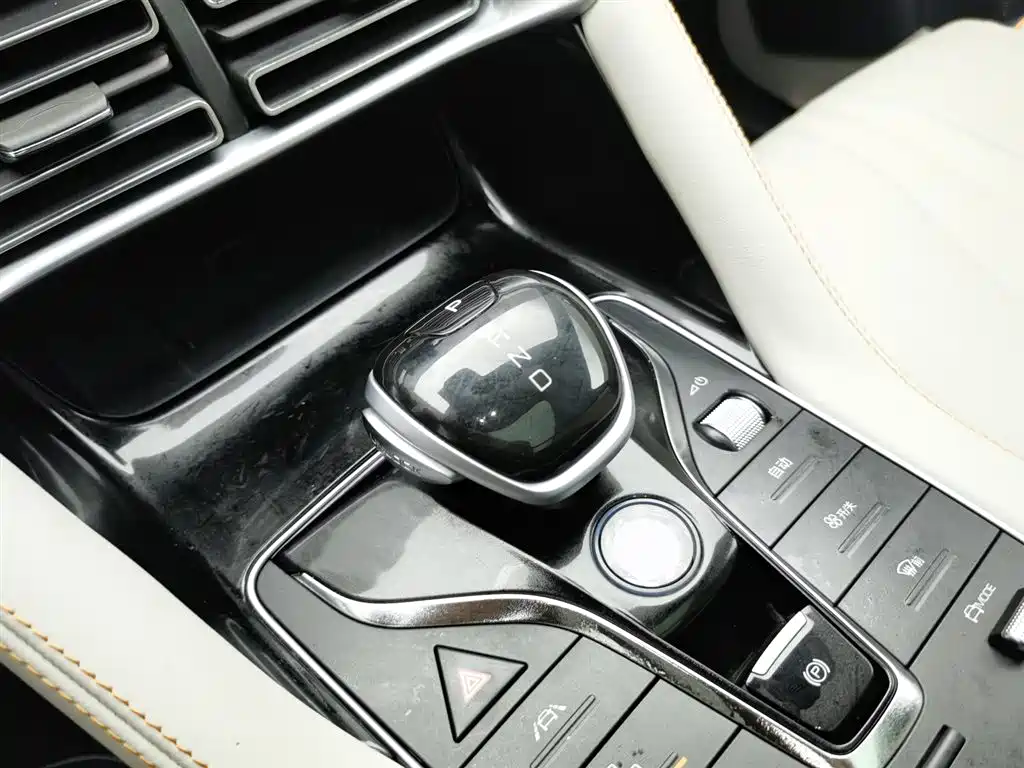 BYD PLUS New Energy 2023 — фото 13