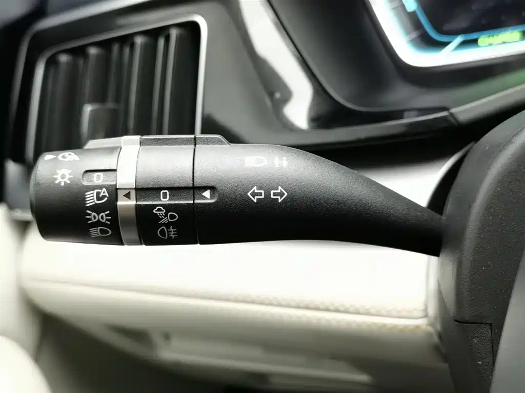 BYD PLUS New Energy 2023 — фото 21