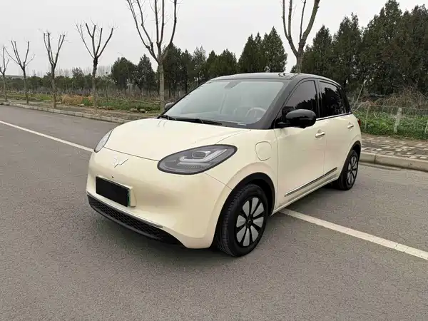 Wuling Bingo 2025