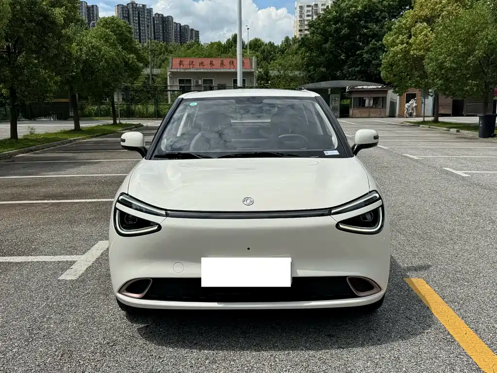 Dongfeng Nano 01 2025
