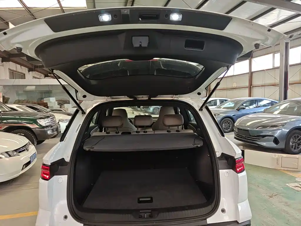 BYD Song Pro New Energy 2024 — фото 19