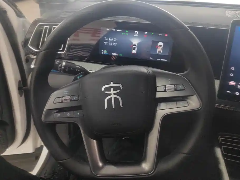 BYD Song Pro New Energy 2025 — фото 15