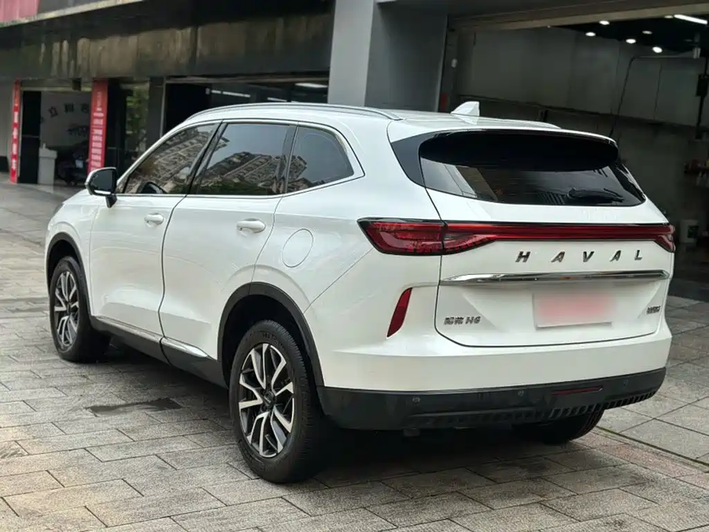 Haval H6 2020 — фото 11