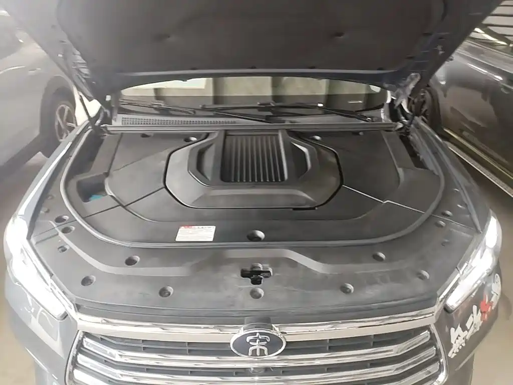 BYD Song Pro New Energy 2019 — фото 16