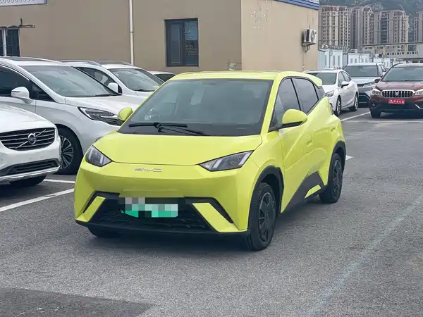 BYD Seagull 2024