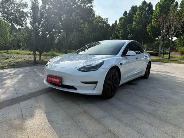 Tesla Model 3 2020