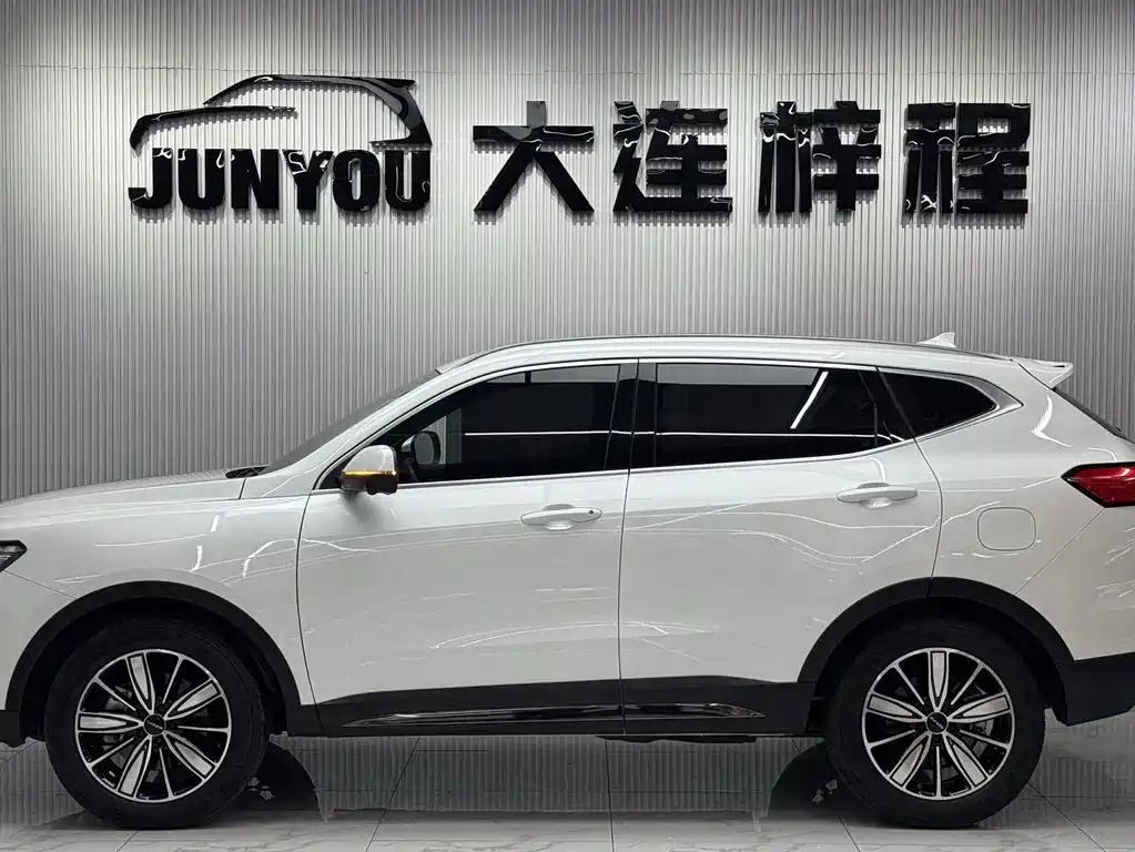 Haval H6 2023 — фото 7