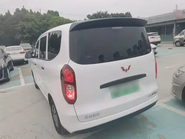 Wuling Hongguang New Energy 2024