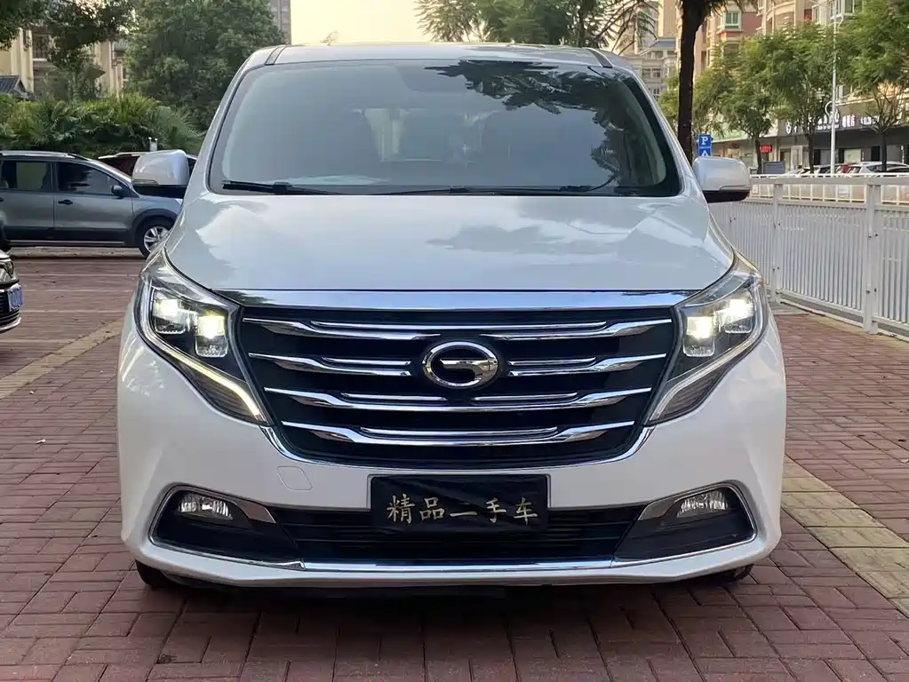 GAC Trumpchi M8 2018 — фото 2