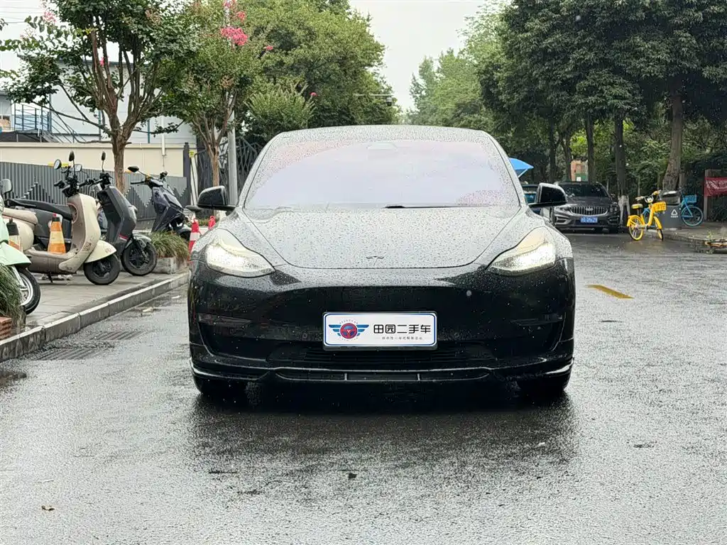 Tesla Model 3 2020 — фото 2
