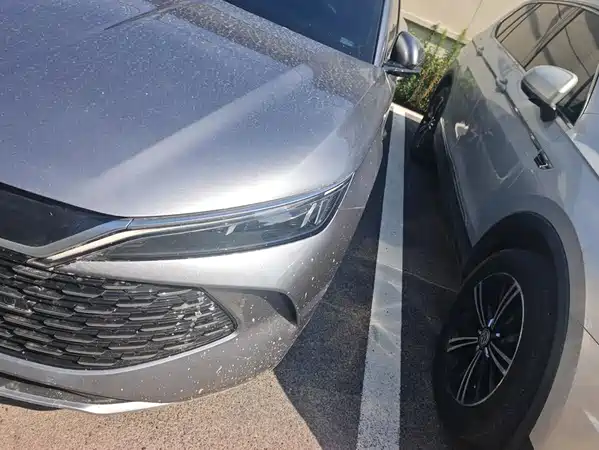 BYD Qin L 2025