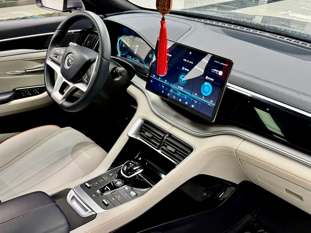BYD PLUS New Energy 2023 — фото 15