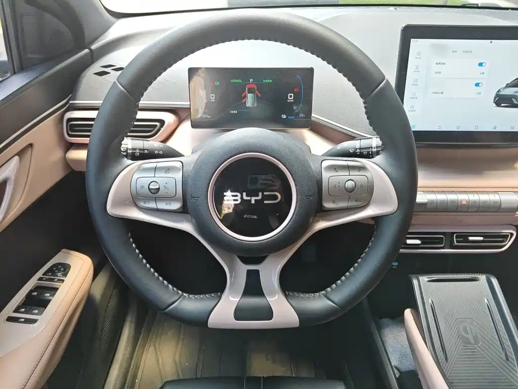 BYD Seagull 2024