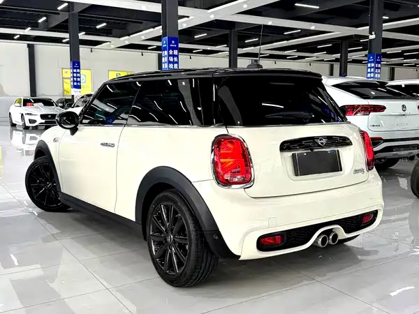 MINI MINI 2020