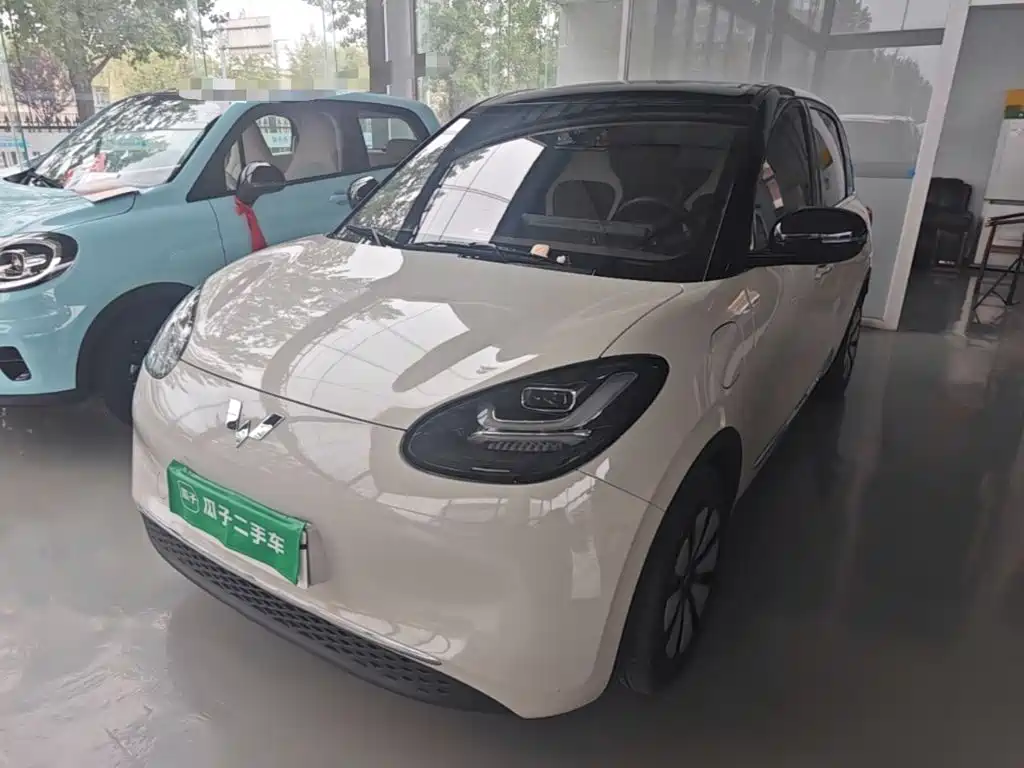 Wuling Bingo 2024