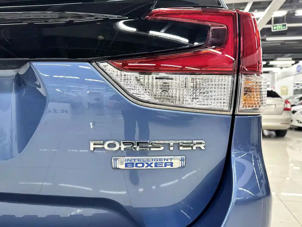 Subaru Forester 2019 — фото 17