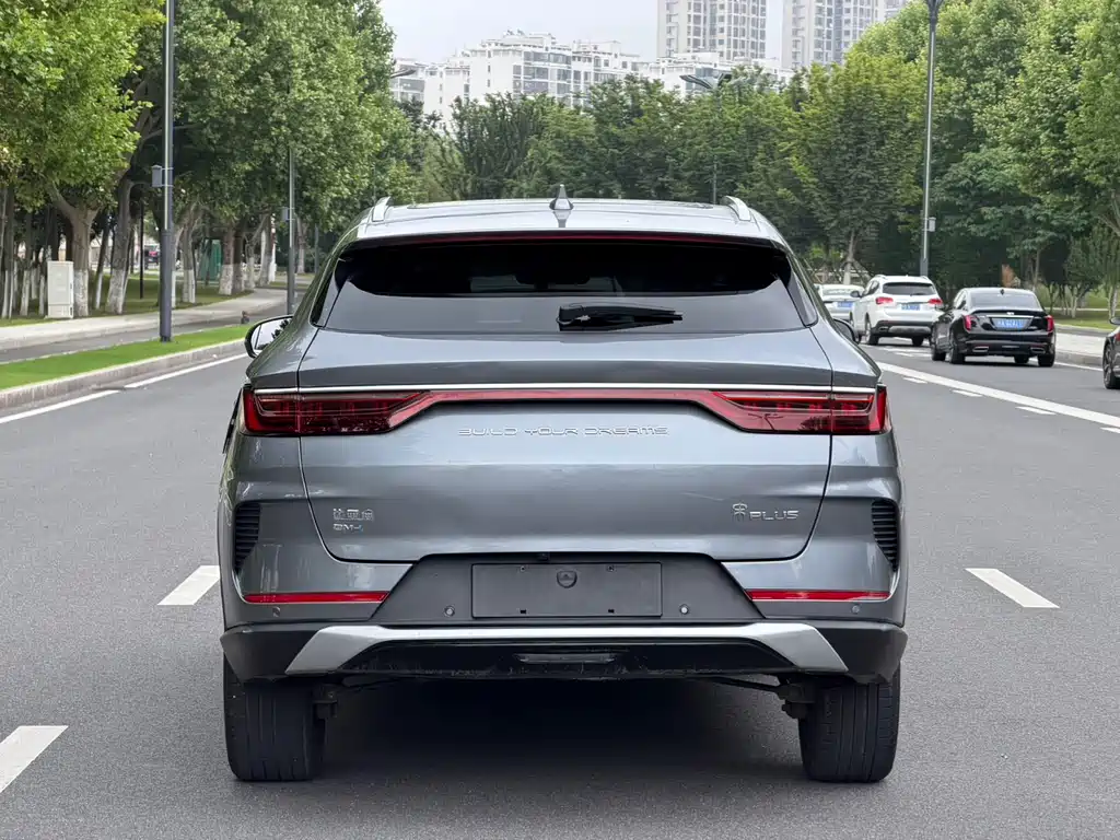 BYD PLUS New Energy 2023 — фото 12