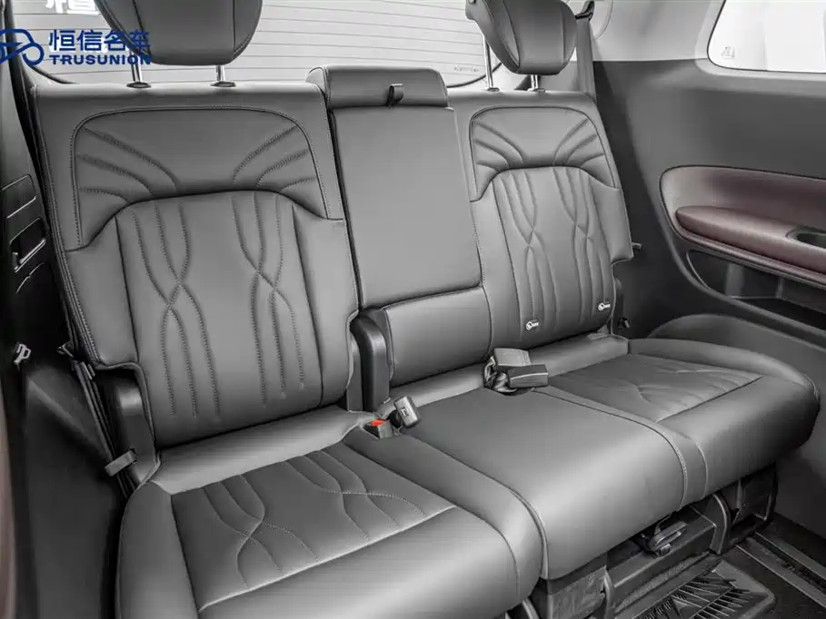 GAC Motor Trumpchi M8 2023 — фото 17