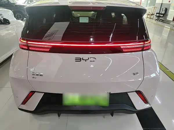 BYD Seagull 2024
