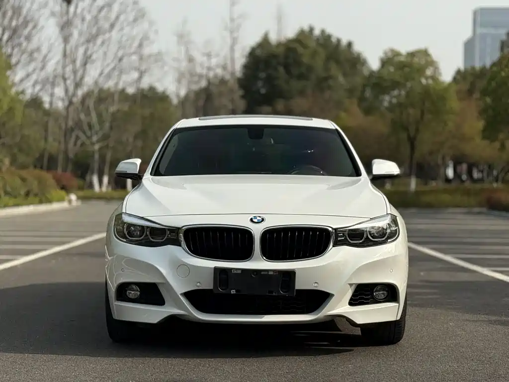 BMW 3 Series GT 2019 — фото 2