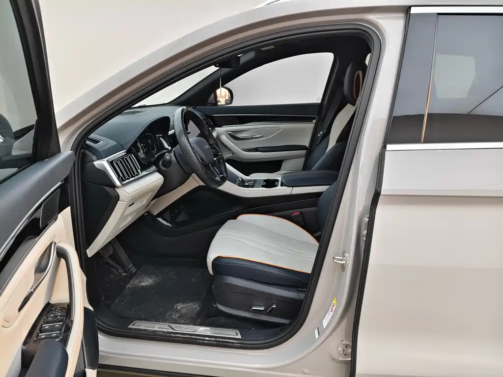 BYD PLUS New Energy 2025 — фото 4