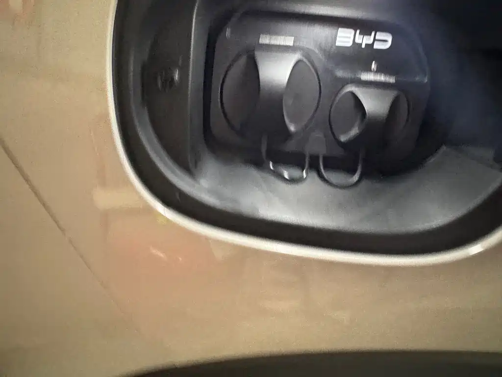 BYD PLUS New Energy 2025 — фото 16