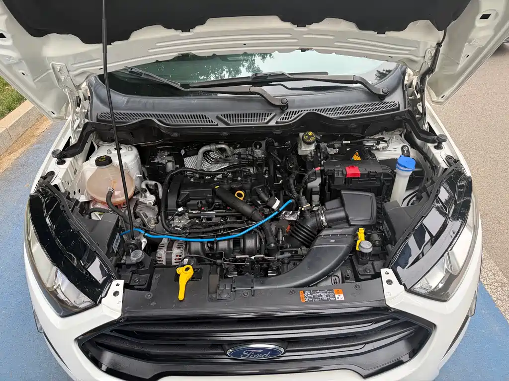 Ford Ecosport 2017 — фото 18