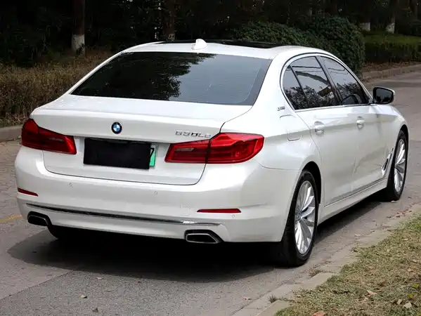 BMW 5 Series New Energy 2019