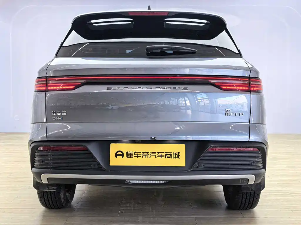 BYD Pro New Energy 2024 — фото 4