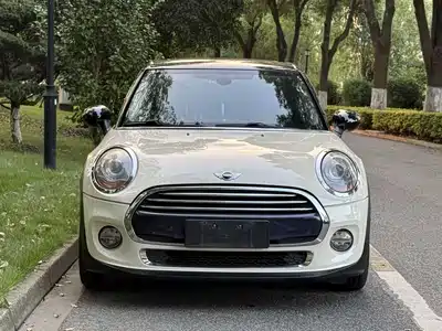 MINI MINI 2015
