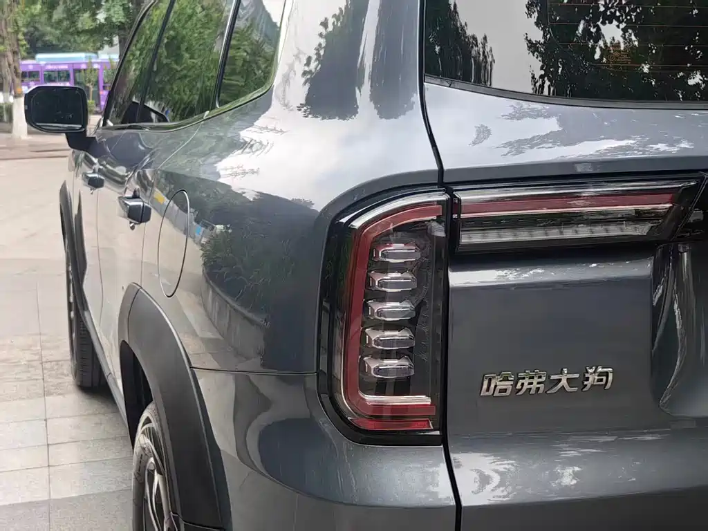 Haval Big Dog 2021 — фото 11
