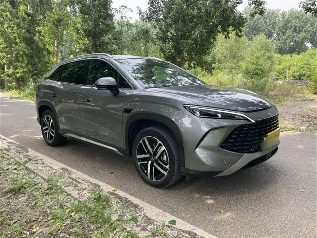 BYD L DM-i 2025 — фото 6