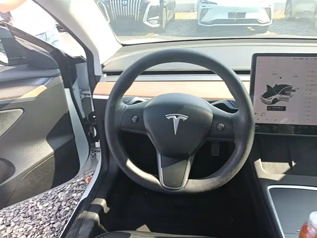 Tesla Model 3 2021 — фото 11