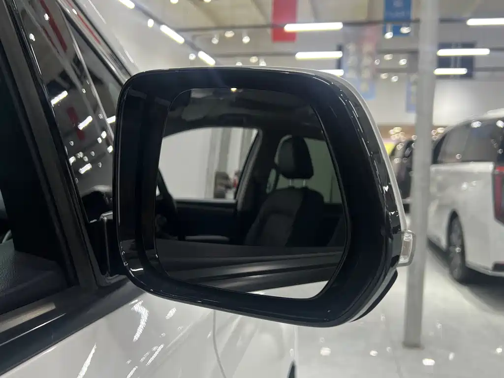 GAC Motor Trumpchi M8 2020 — фото 25