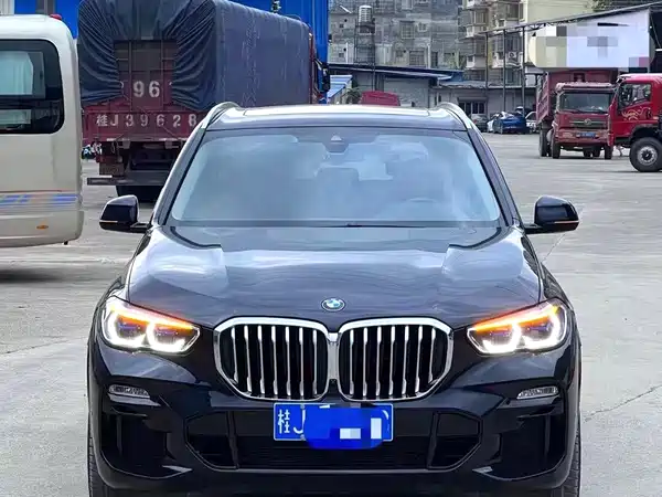 BMW X5 2021