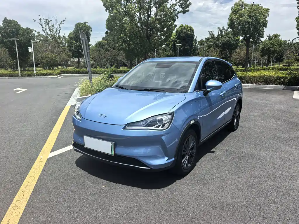 Neta V 2024