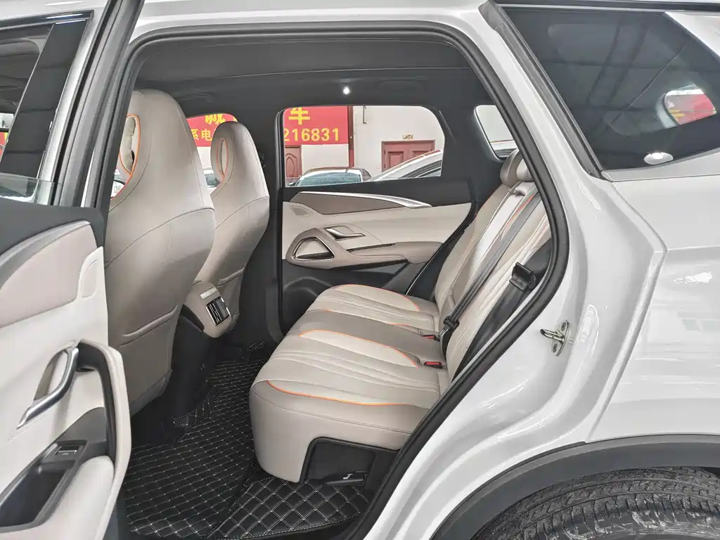 BYD Song Pro New Energy 2024 — фото 8