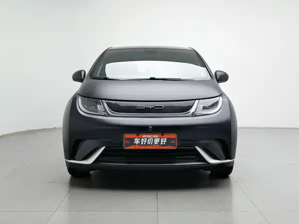BYD Dolphin 2022