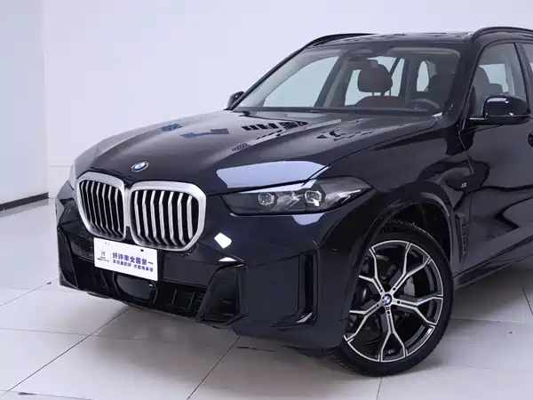 BMW X5 2025