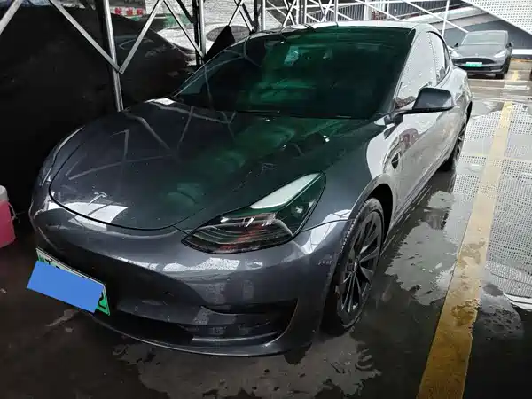Tesla Model 3 2021