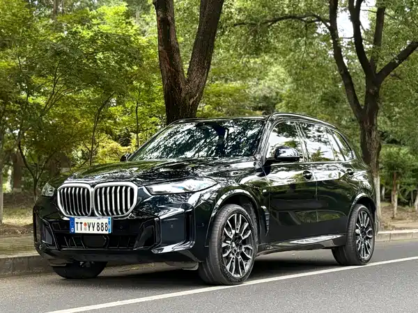 BMW X5 2024