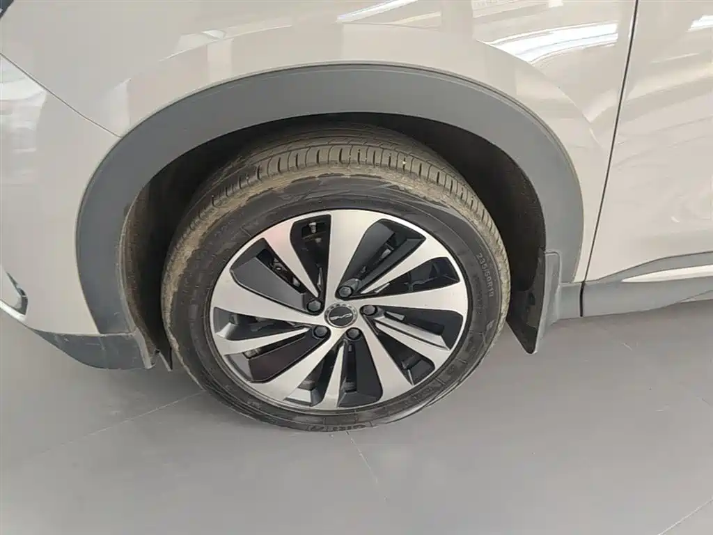 BYD PLUS New Energy 2024 — фото 23
