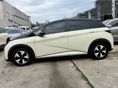 BYD Dolphin 2025