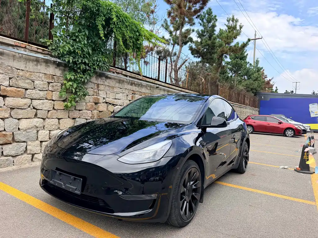 Tesla Model Y 2023 — фото 1