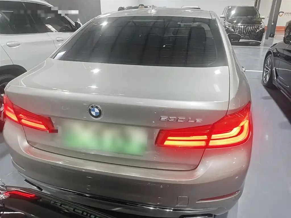 BMW 5 Series New Energy 2021 — фото 6