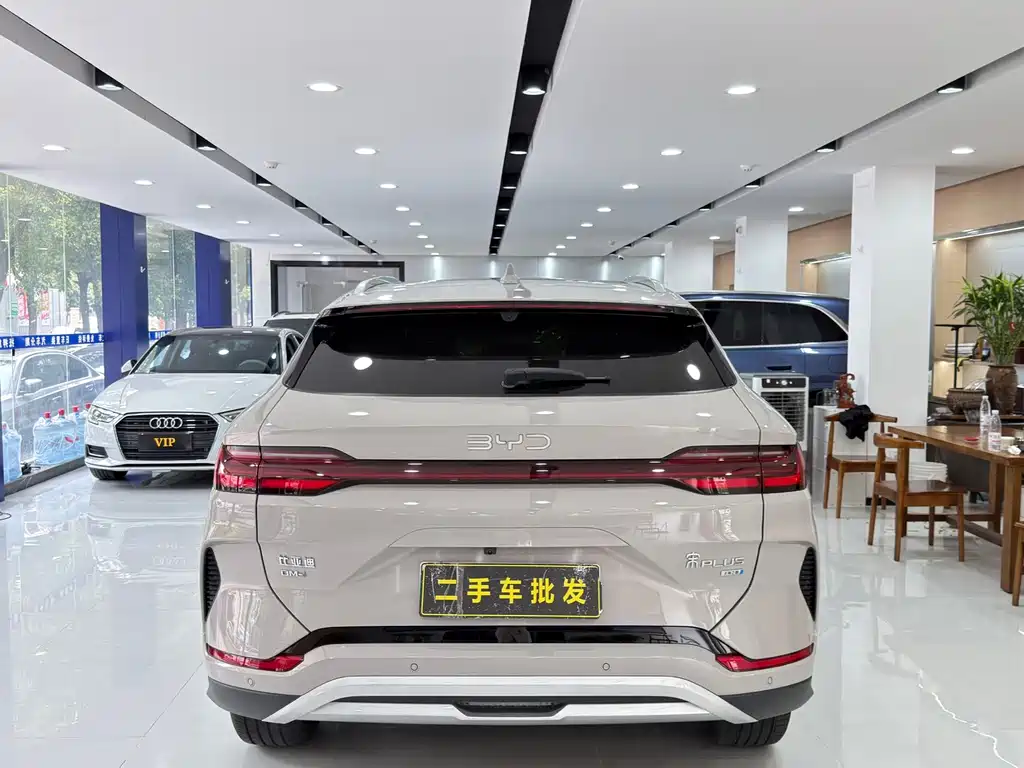 BYD Song PLUS New Energy 2025 — фото 8