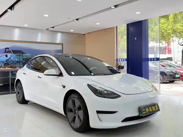 Tesla Model 3 2021