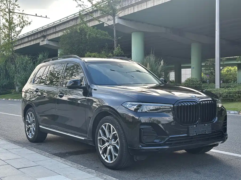 BMW X7 2022 — фото 8